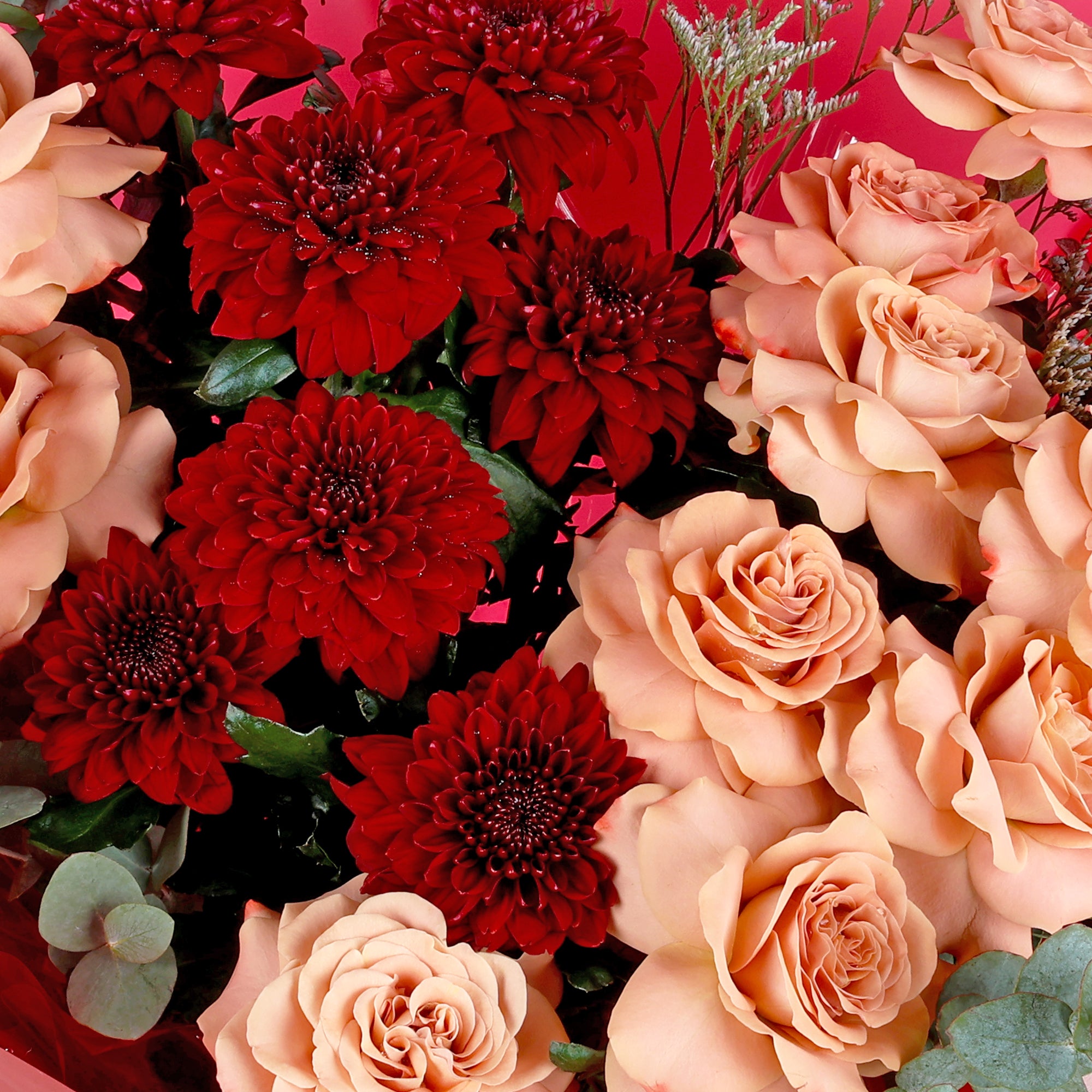 Blush & Crimson