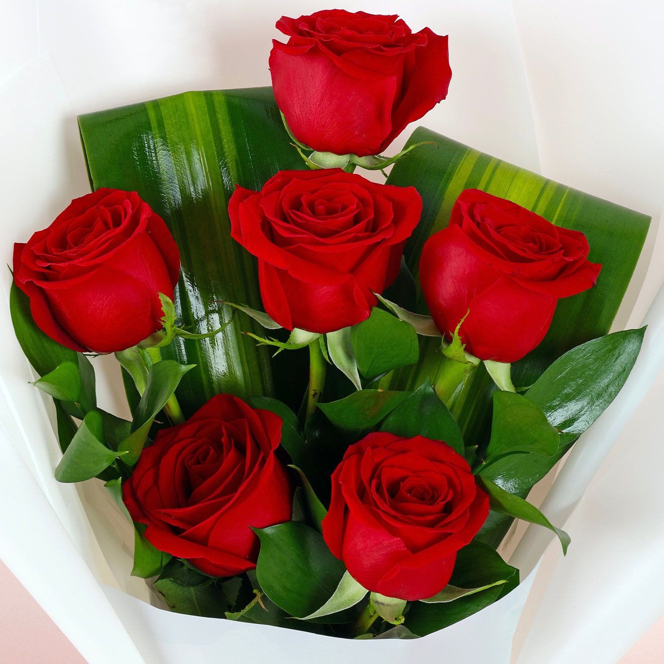 6 Red Roses