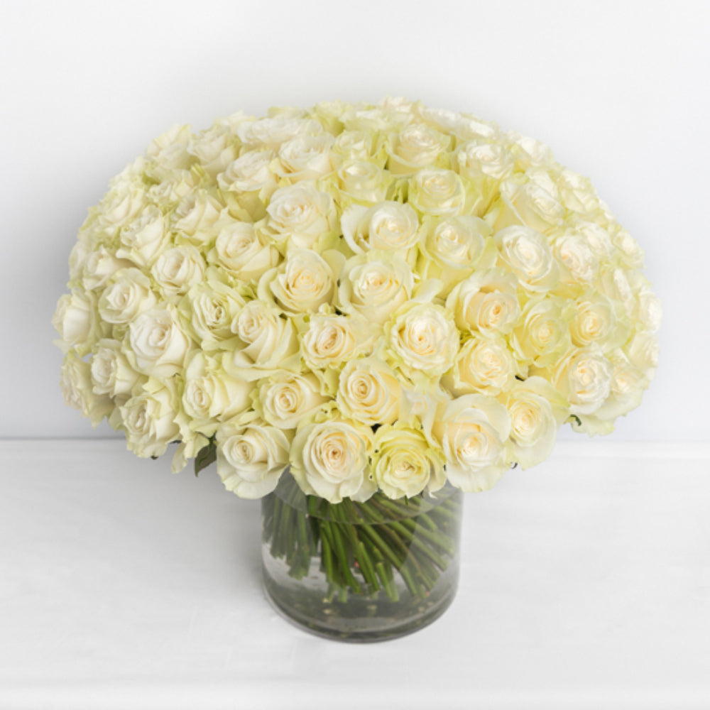 100 Freshly Cut Roses