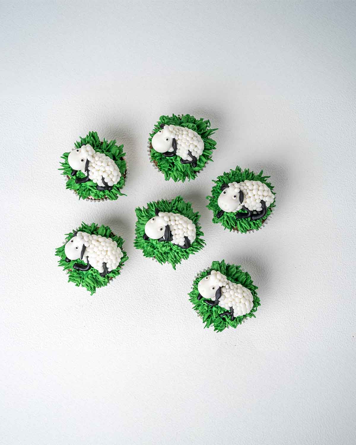 6 Sheep Cupcakes 25 collection