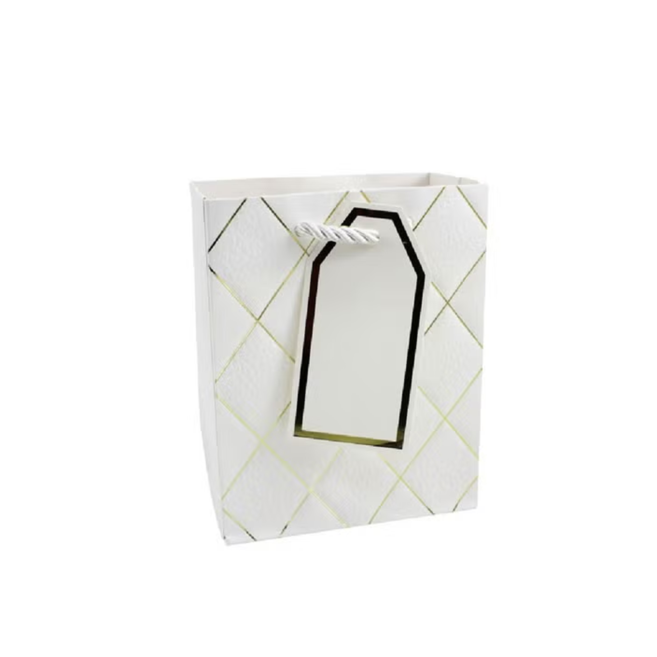 General Paper Gift Bag White - Small
