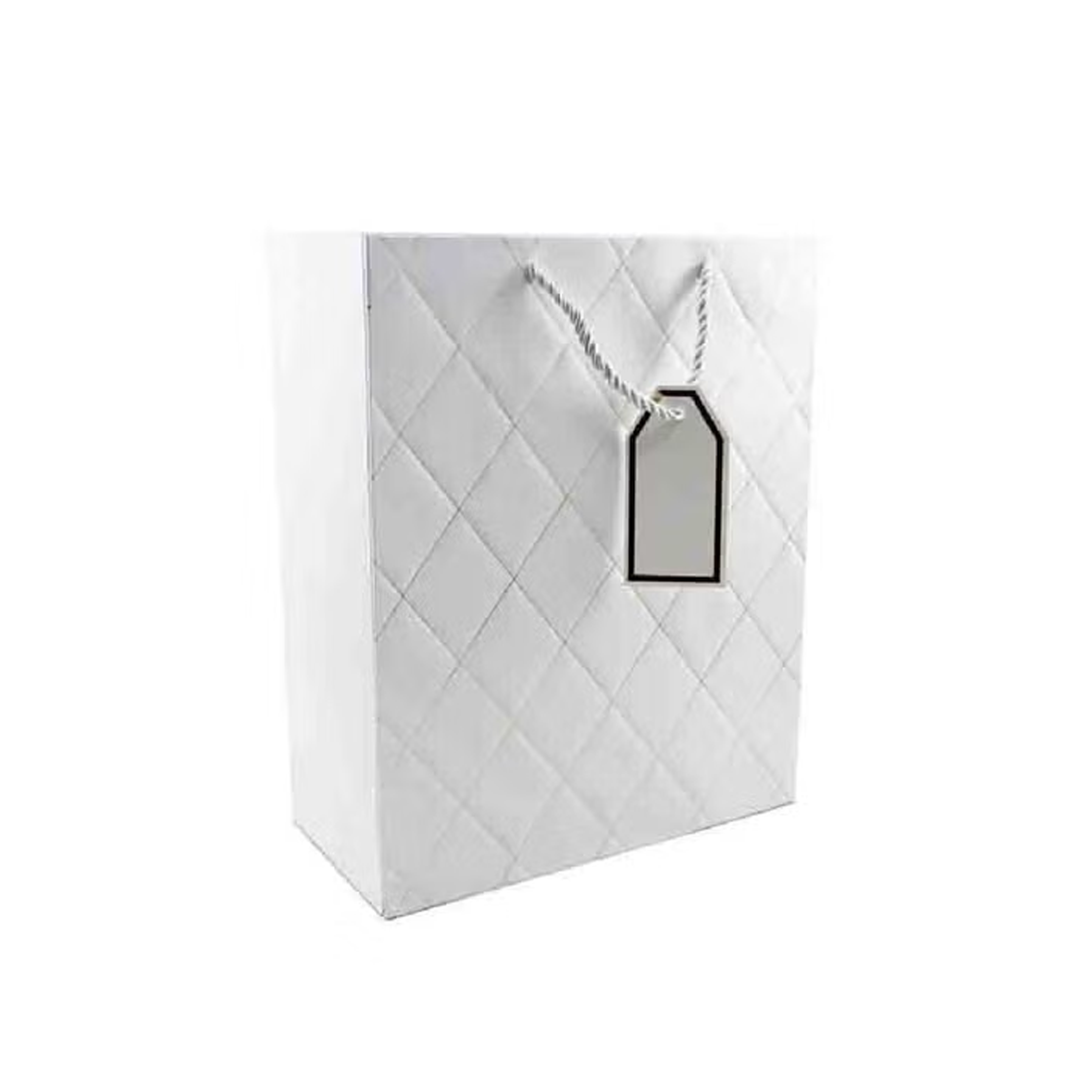 General Paper Gift Bag White - Medium