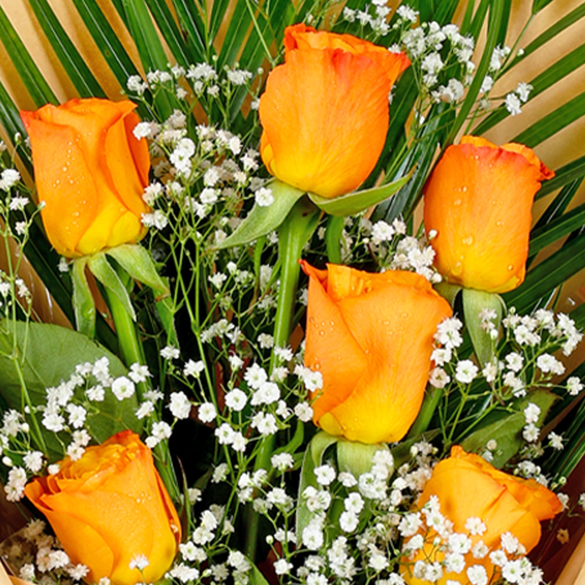 Orange Joy