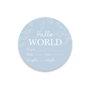 Hello World Baby Announcement Plaque - Light Blue