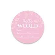 Hello World Baby Announcement Plaque - Light Pink