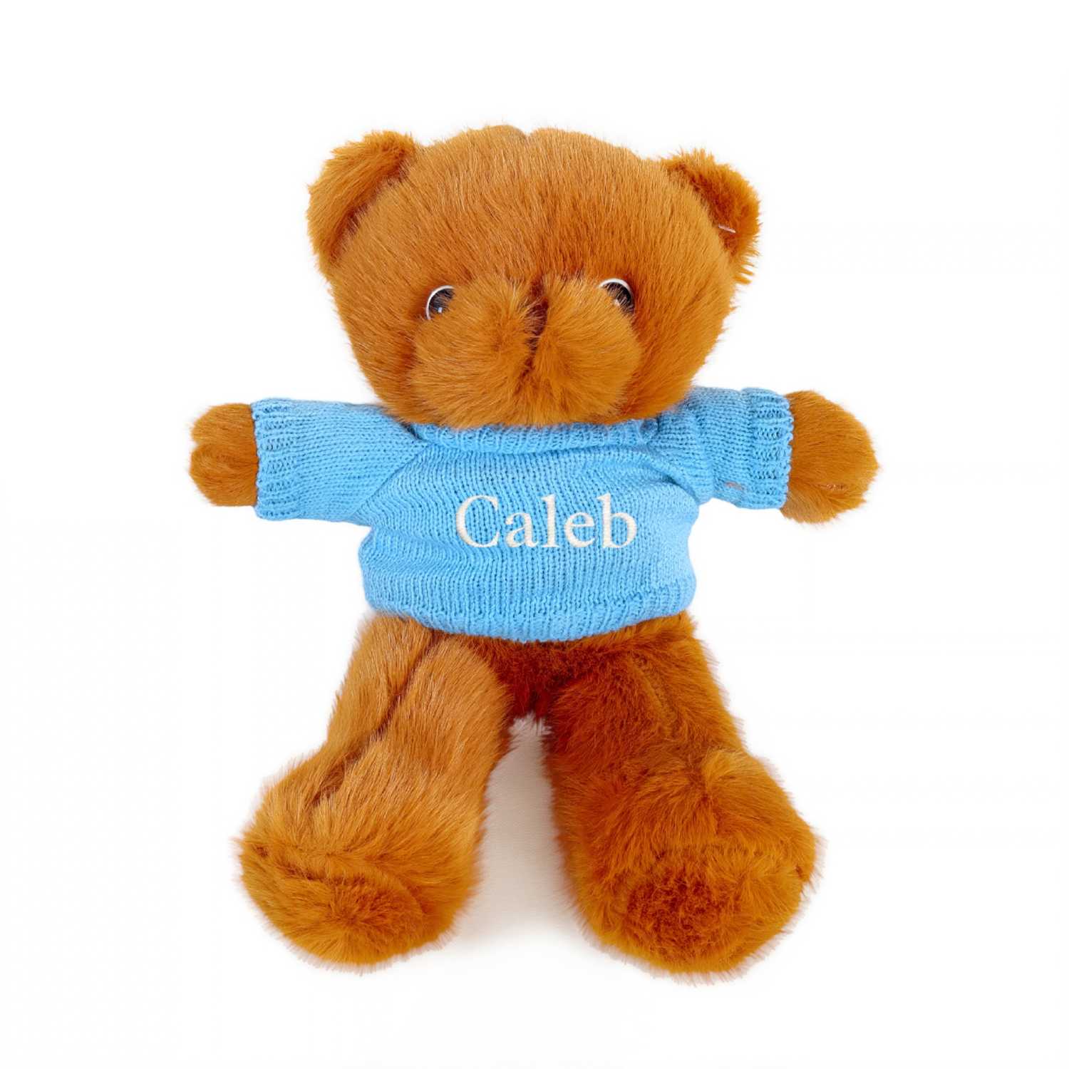 Personalised Coco Bear Teddy