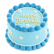 Trendy Sky Blue Cake