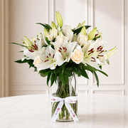 Lily Blush Harmony