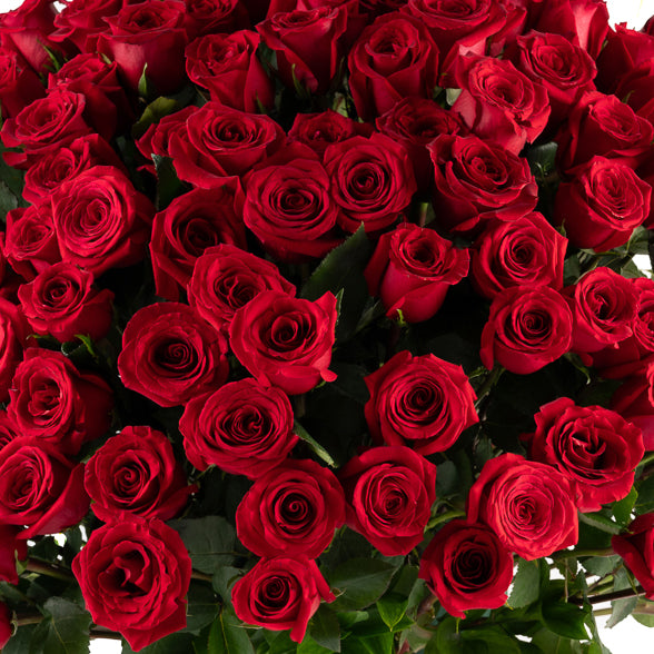 Scarlet Majesty - Deluxe Flower Box