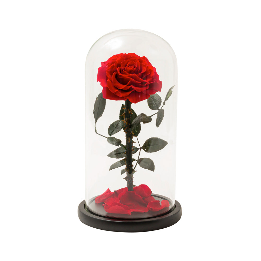 Eternal Red Rose in a Glass Dome