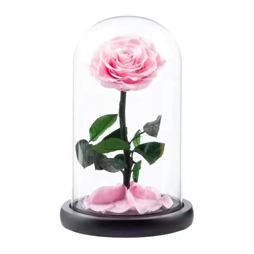 Eternal Pink Rose in a Glass Dome