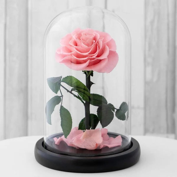 Eternal Pink Rose in a Glass Dome | Small Rose
