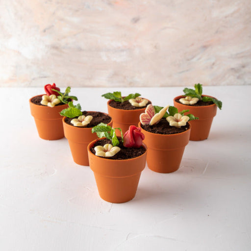 Choc Flower Pot