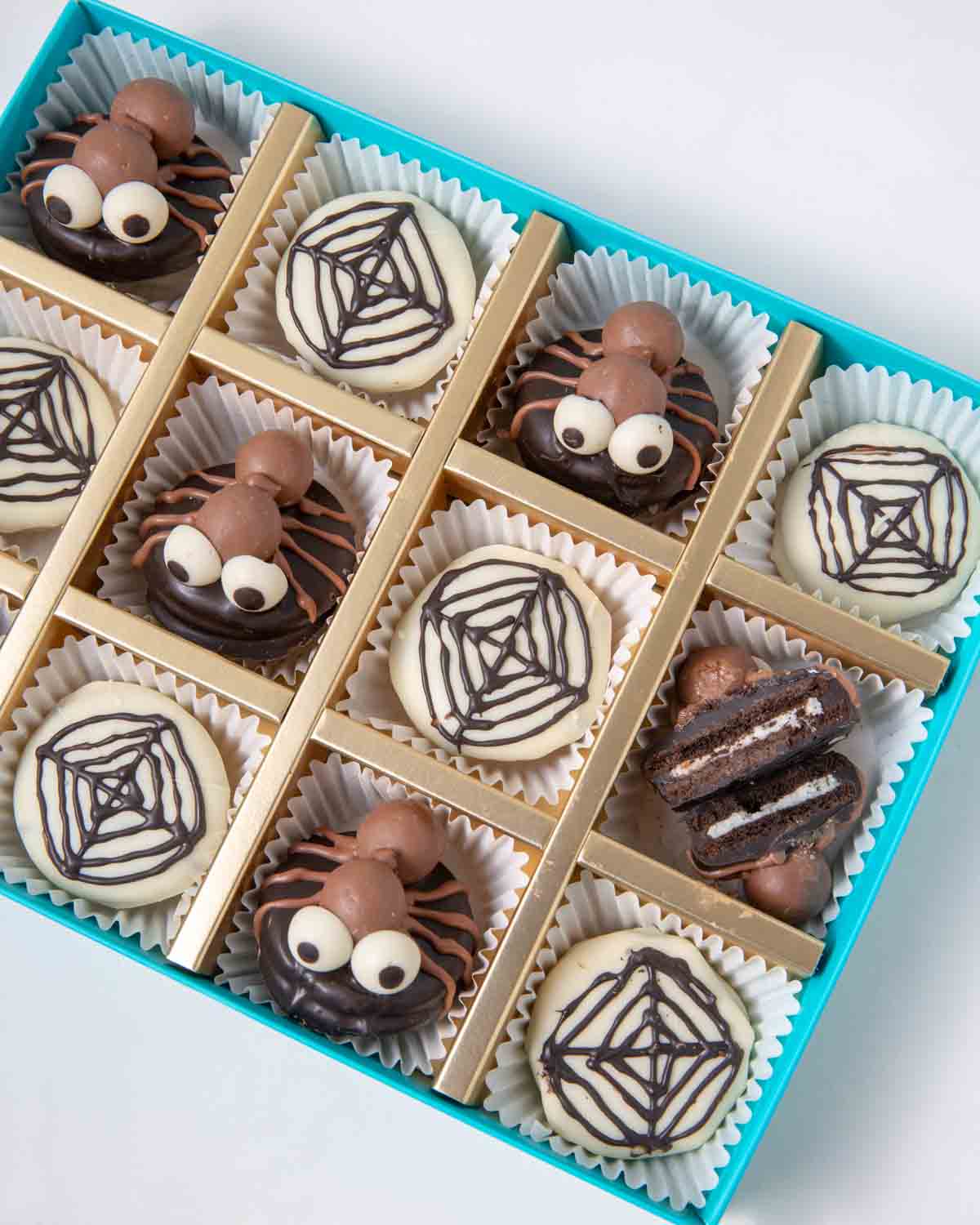 Spiders and Spiderwebs