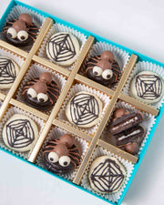 Spiders and Spiderwebs