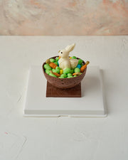 Bunny and Carrots